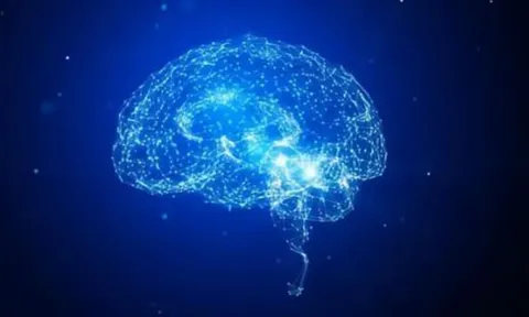 Khi ngủ, tại sao con người lại có những giấc mơ không logic về những thứ mà họ chưa từng thấy trước đây?