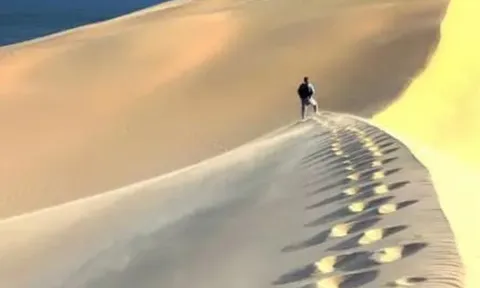 Tại sao con người không thể đi theo đường thẳng sau khi bị lạc trong sa mạc? 