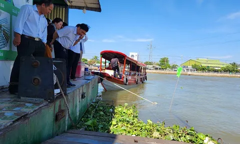 Cần Thơ: Để khách du lịch rơi xuống sông, điểm dừng chân Khởi My bị đình chỉ hoạt động