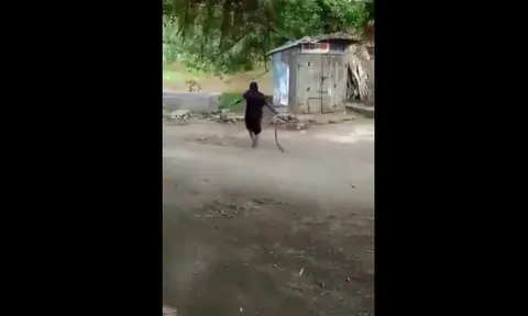 CLIP: Cụ bà Ấn Độ tay không kéo lê rắn hổ mang, bình thản quẳng đi