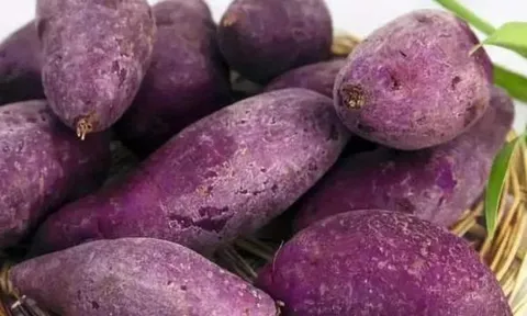 Khoai lang mật tốt hơn hay khoai tím tốt hơn? Hóa ra là khoảng cách quá lớn, đừng mua nhầm nếu bạn biết điều đó