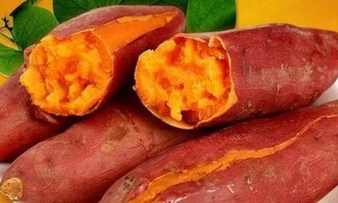 Điều gì xảy ra với những người ăn khoai lang vào bữa sáng trong thời gian dài?