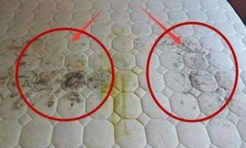 Sau khi ngủ trên đệm một thời gian dài, bọ ve đã hình thành tổ, mách bạn một cách đơn giản để loại bỏ bọ ve và bụi bẩn cùng nhau