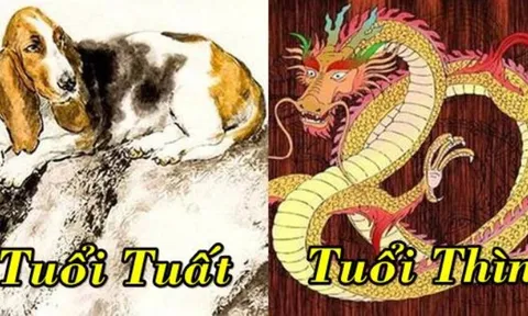 Tử vi hôm nay 25/2 của 12 con giáp: Tuất tài lộc dồi dào, Thìn nhạy bén với cơ hội tài chính