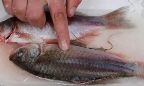 Cho dù là loại cá nào được rã đông, hãy nhớ phương pháp này, chỉ cần một mẹo nhỏ là cá sẽ được rã đông hoàn toàn trong vòng 5 phút. Thật là tuyệt vời!