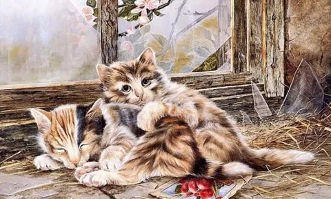 5 con giáp tuổi trung niên được dự đoán sẽ phát tài, vận may tăng vọt