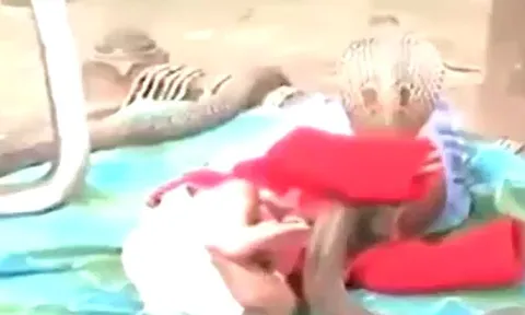 CLIP: 'Ớn lạnh' trước cảnh em bé nằm cạnh 4 con rắn hổ mang chúa 'khủng'