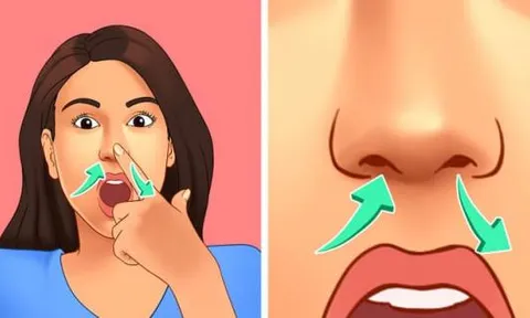 Tại sao chúng ta vẫn cần 11 bộ phận này trên cơ thể, dù không có nó, chúng ta vẫn sống