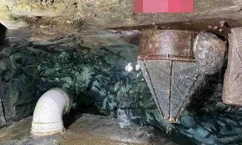 Ông lão mơ thấy có kho báu dưới nhà, đào đến 13m thì phát hiện 'mỏ vàng sống' tiền tiêu không hết