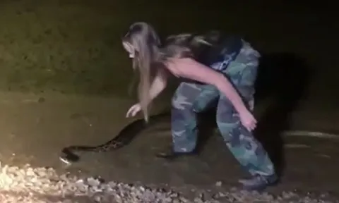 CLIP: Thiếu nữ xinh đẹp dùng tay không bắt trăn Miến Điện và cái kết gây chú ý