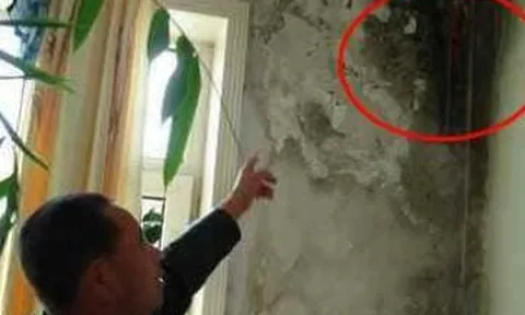 Không cần tìm thợ sửa chữa tường nhà đã “mốc meo”! Mách bạn một mẹo 'vá tường cùng sơn vá' ngay cả phụ nữ cũng có thể sửa được
