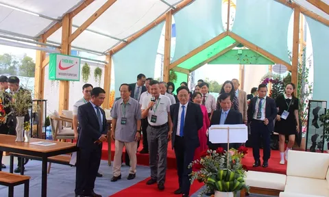 Ngành gỗ ngoại thất ghi dấu tại thủ phủ gỗ Bình Định