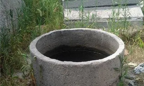 Người xưa đào giếng xong thường thả cá và rùa vào trong, đâu là nguyên nhân? Đọc xong ai cũng trầm trồ về kinh nghiệm của cha ông