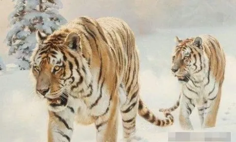 5 con giáp ngày càng giàu lên theo từng năm, xem bạn có nằm trong số đó không?