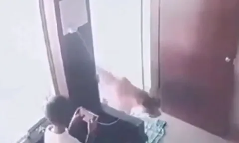 CLIP: Đang ngồi trong phòng chơi game thì bỗng báo hoa mai 'ghé thăm', cậu bé có pha xử lý khiến người xem bội phục