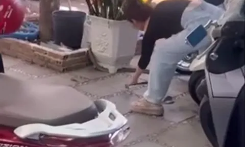 CLIP: Cô gái tay không bắt rắn 'khủng' ở Hậu Giang và cái kết khiến người xem 'thót tim'