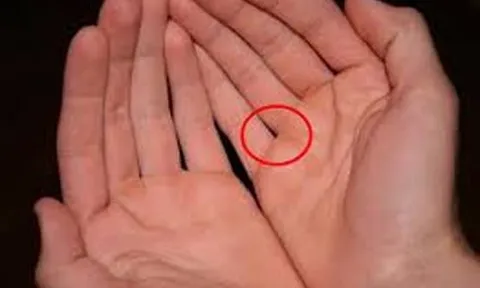 Khi ghép các ngón tay lại với nhau thì có bao nhiêu lỗ? Hóa ra nó có thể phản ánh cả tính cách và mức độ giàu có của bạn