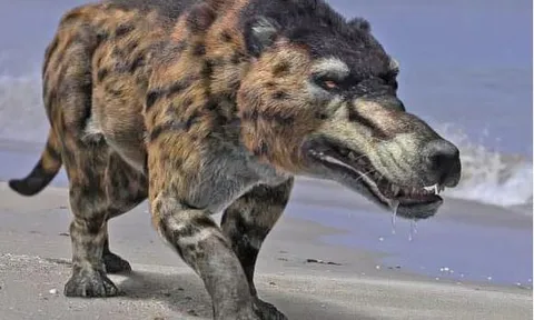 9 loài động vật hiện đại trông khác hẳn tổ tiên của chúng