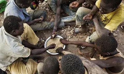 Thức ăn mà người châu Phi thà nhịn đói còn hơn ăn đã trở thành mặt hàng xa xỉ ở nước khác và được du khách yêu thích