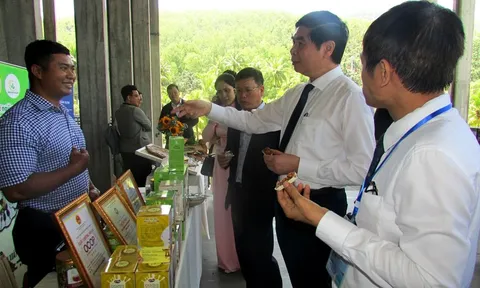 Bình Định: Sản phẩm khởi nghiệp xanh thu hút nhà đầu tư