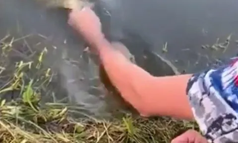 CLIP: Mãn nhãn trước khoảnh khắc người đàn ông dùng tay không câu cá