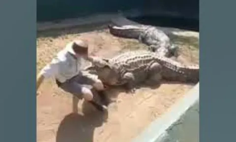 CLIP: Liều lĩnh cưỡi lên lưng cá sấu khổng lồ, người đàn ông suýt bỏ mạng