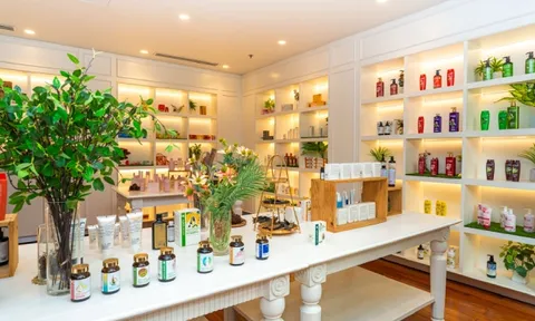 WIPO: Sao Thái Dương là nguồn cảm hứng cho các doanh nghiệp muốn chinh phục thị trường quốc tế