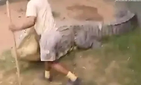 CLIP: Người đàn ông bị cá sấu khổng lồ tấn công và cái kết khó tin