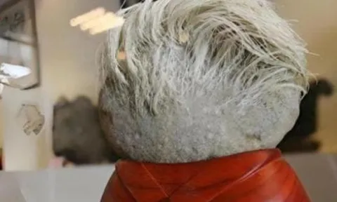 Ông lão nhặt được viên đá mọc 'tóc trắng', sau đó phải lập tức phong tỏa toàn bộ ngôi làng, vì sao?