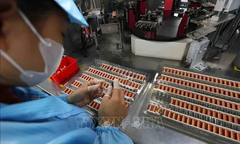 Cơ cấu lại thị trường xuất khẩu, minh bạch chuỗi cung ứng