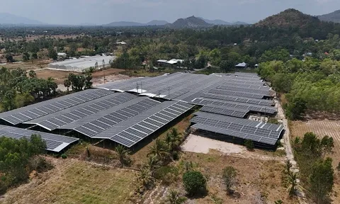 Làm giàu từ mô hình sản xuất nông nghiệp kết hợp điện mặt trời