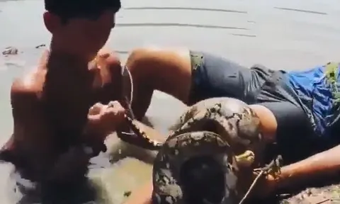 CLIP: Bị trăn 'khủng' siết chặt, 2 cậu bé có màn xử trí đáng nể phục