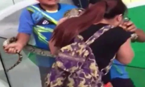 CLIP: Cả gan hôn trăn gấm, người phụ nữ nhận kết quả đầy đau đớn