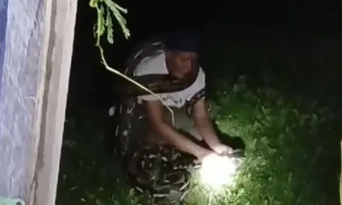 CLIP: Cố gắng bắt trăn gấm 'khủng', người đàn ông bị siết đến tử vong