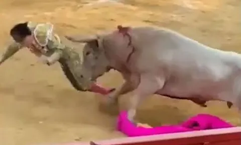 CLIP: Bò tót nổi điên húc tung võ sĩ đấu bò lên không trung và cái kết