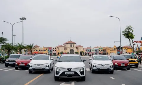 VinFast phát động chuỗi sự kiện “Phủ xanh, Sống chất”: Kết nối cộng đồng với tương lai di chuyển xanh