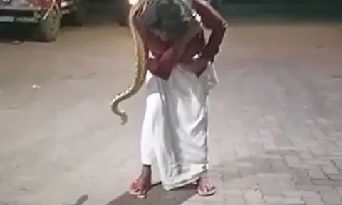 CLIP: Say rượu, người đàn ông bắt trăn làm 'khăn quàng cổ' rồi nhận kết cục không ai đoán ra