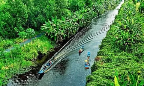 Đây là dòng sông duy nhất dài hơn 40km cắt đôi 2 khu rừng của Việt Nam, được xếp loại quý hiếm trên thế giới