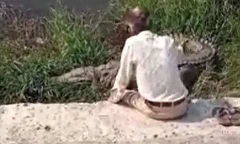 CLIP: Say rượu, người đàn ông ngồi tâm sự với cá sấu nhưng cái kết mới 'thót tim'