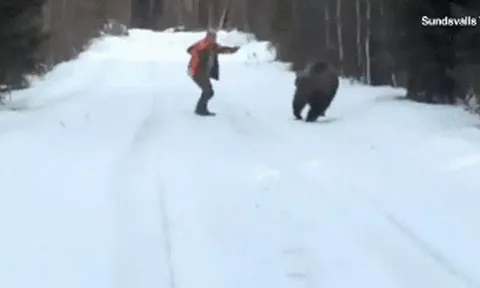 CLIP: Bị gấu 'khủng' tấn công, người đàn ông làm ra hành động khiến con vật sợ hãi bỏ chạy