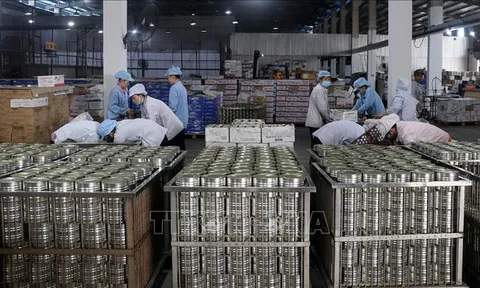 Ngân hàng dự phòng kịch bản ứng phó tác động thuế quan Hoa Kỳ