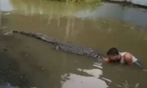Tưởng cá sấu là mô hình, du khách bị cắn suýt mất mạng khi chụp selfie