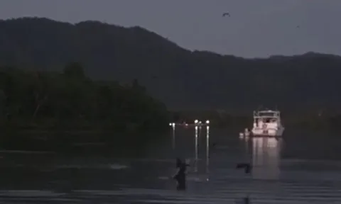 CLIP: Cá sấu phi thân, tóm gọn dơi đang bay trên mặt sông