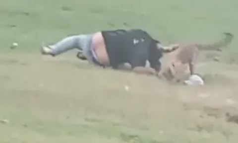 CLIP: Đi dã ngoại, nam thanh niên bị báo hoa mai tấn công và cái kết