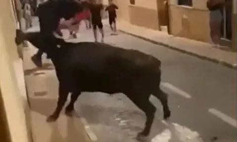 CLIP: Bò tót nổi điên, tấn công dã man thiếu niên giữa đường phố