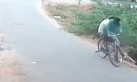 CLIP: Phát hiện rắn hổ mang cuốn vào bánh xe đạp, hai người đàn ông hoảng loạn vứt xe bỏ chạy