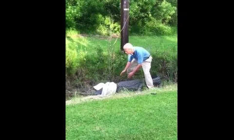 CLIP: Người đàn ông liều lĩnh bắt cá sấu khổng lồ bằng tay không