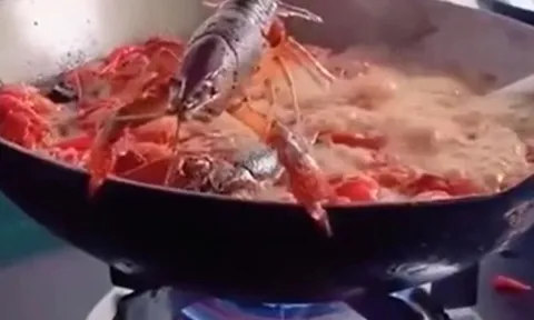 CLIP: Tôm hùm đất tung cú nhảy ngoạn mục, thoát khỏi chảo dầu đang sôi