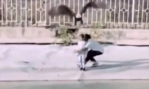 CLIP: Kinh hoàng khoảnh khắc đại bàng sà xuống bắt trẻ em và màn giải cứu đầy kịch tính