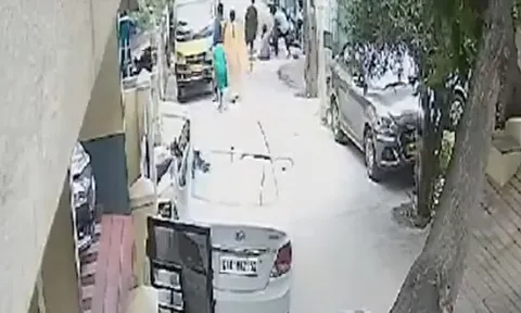 CLIP: Thấy con gái bị chó Becgie tấn công, cha lao ra giải cứu và cái kết